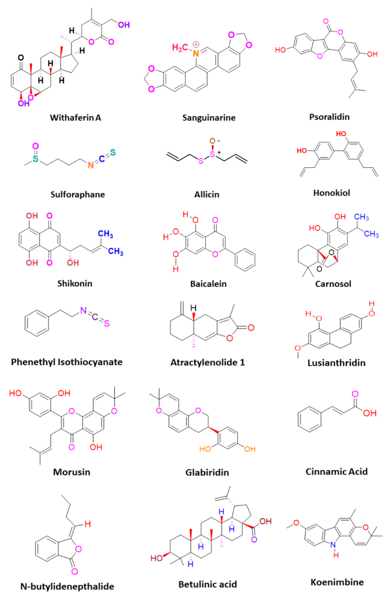 https://mednews.vn/wp-content/uploads/2024/06/pharmaceuticals-14-00676-g003a-1-671x1024.png